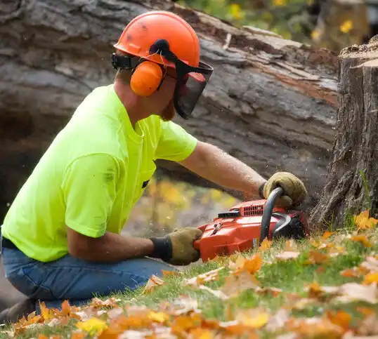 tree services Defiance